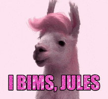 lama bejules GIF by Jules Mumm