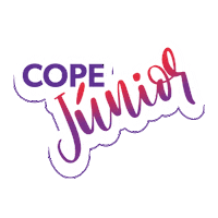 Cope Junior Sticker by Prepara Enem