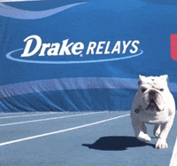 drake mascot GIF by DrakeUGriff