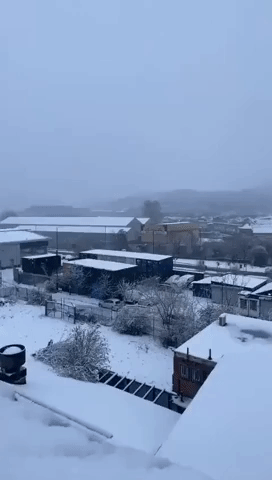 Residents Wake to Snowy Rooftops in Sheffield