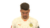 Look Up Borussia Dortmund Sticker by Bundesliga