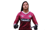 San Luis Soccer Sticker by Atlético de San Luis