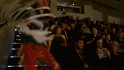 SHWAWrestling clyde perth pro wrestling tassels southern hemisphere wrestling alliance GIF