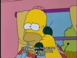 homer simpson GIF
