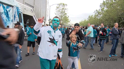 ice hockey GIF by NHL