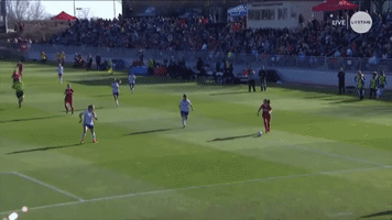 ashley hatch goal GIF by Washington Spirit