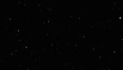 bettermarketing_firm marketing better firm bettermarketingfirm GIF