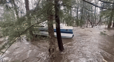 Boat Trapped in Between Trees After Major Flooding