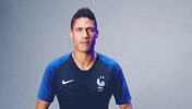sport celebration GIF by Equipe de France de Football