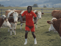 Football Soccer GIF by Herr Fuchs Zurich