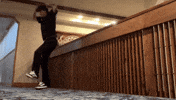 Michal Michal Michal GIF by Habama Music