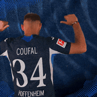 Sport Bundesliga GIF by TSG Hoffenheim