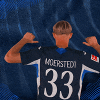 Sport Bundesliga GIF by TSG Hoffenheim