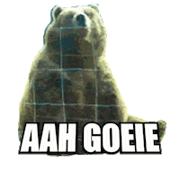 fries hello Sticker by Omrop Fryslân