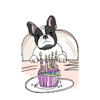 happy dog Sticker by Ivo Adventures