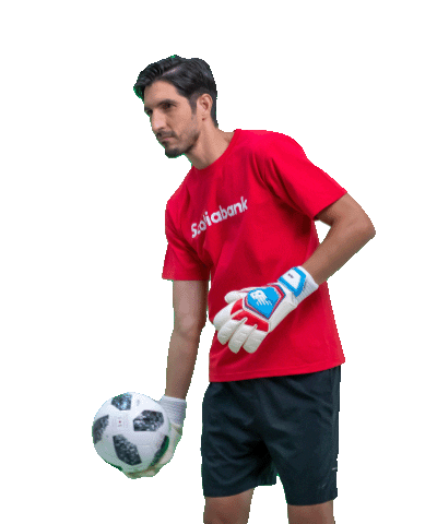 Soccer Futbol Sticker by Scotiabank Costa Rica