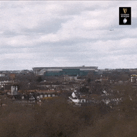 England Rugby GIF by Guinness Six Nations