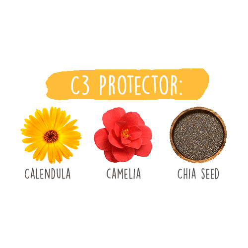 Chia Seed Calendula Sticker by Snapskin Official
