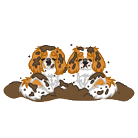 Mynteaicha Sticker