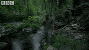 top gear forest GIF by BBC