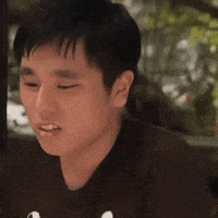 29 GIF
