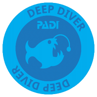 Msd Challenge Sticker by PADI
