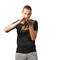 Money Dutch Sticker by dutchperformanteshop