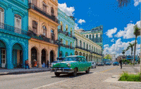 adamaresinglereisen cuba GIF