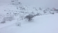 Atlantic Canada Faces Blizzard-Like Conditions