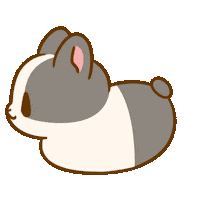 Rabbit Rotation Sticker