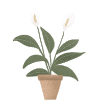 NicoleTejera flower green plant plants Sticker