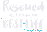 The Best Love Sticker by TracysPawsRescue