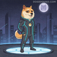 Shiba Inu Flirt GIF by Doge Pound