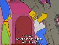 homer simpson GIF