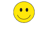 coachella smile Sticker by ambsn