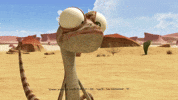 OscarOasis food hungry eat desert GIF