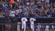 kc GIF by MLB