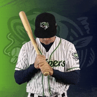 GoStripers look up gwinnett stripers lamarre GIF