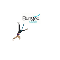 Bungeestudios bungee bungeefitness bungeeworkout bungee fitness Sticker