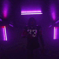 Division 1 Sport GIF by TCU Football