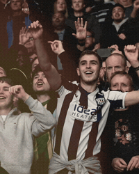 West Brom Fans GIF by West Bromwich Albion