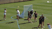 College Sports Sport GIF by UNC Tar Heels