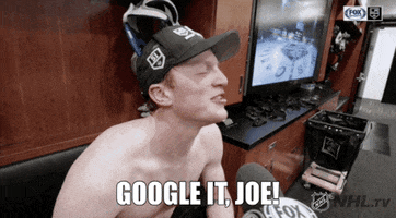 google it ice hockey GIF by NHL
