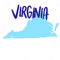 Voting Terry Mcauliffe Sticker by INTO ACTION