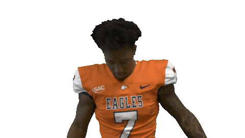 Cnfb Sticker by Carson-Newman Athletics
