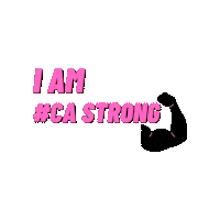 Cheer Cheerleading Sticker by CA Flyers