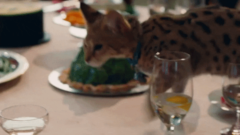 Yummy GIF by Justin Bieber