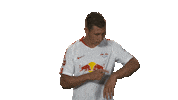 rb leipzig Sticker by Bundesliga