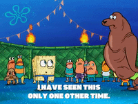 season 6 GIF by SpongeBob SquarePants