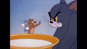 Tom And Jerry Nibbles GIF